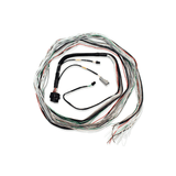 Fueltech FT600 Unterminated Harness  2001004001