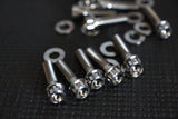 WM Titanium Valley Cover Bolt Set GM LS 12 Point Silver 12900