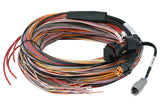 HALTECH PD16 PDM + Flying Lead Harness (5M) HT-198201